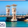 Abdelnaser Eldeeb 的头像