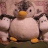 のぶくん 🦉📸 的头像