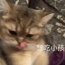 Profilbild von mimi