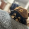 壊れかけのRadio profil fotoğrafı