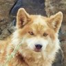 沈阳's profile picture