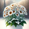 Фото профиля من يتوكل على الله فهو حسبه