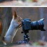 Jeffrey profil fotoğrafı