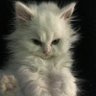 Santtu's profile picture