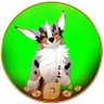 Nevermint's profile picture