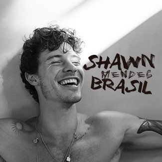 @ShawnMendesBRA's profile picture
