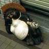 イオQ 的头像