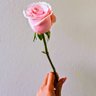 🧚🏻♀️りぽぽ🌼's profile picture