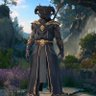 Profilbild von Jace the Dragonborn