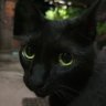 Natess ˞🇧🇷˞💨's profile picture