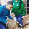 Фото профиля 🐾NESTOR🌽LAGOS 🌍