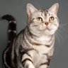Dhamar profil fotoğrafı