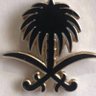 MALEK 511🇸🇦 profil fotoğrafı
