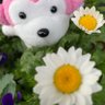 ふじな's profile picture