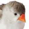 Profilbild von りゅう