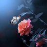 Profilbild von Tulip Yahia