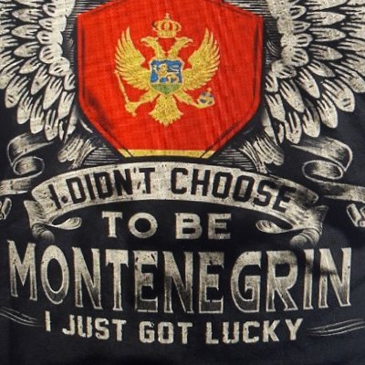 VukasinPerovic's profile picture