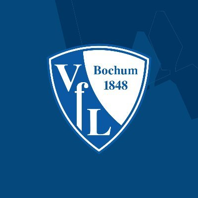 VfL Bochum 1848's profile picture