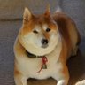 hiroko profil fotoğrafı