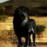 AO19 profil fotoğrafı