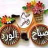alaa 的头像