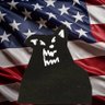 a lone wolf american's profile picture