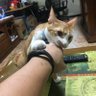 Jacky Chan 的头像