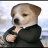 pun chi's profile picture