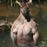 Ishan profil fotoğrafı