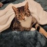 Gutwa profil fotoğrafı