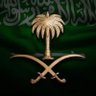 💚🇸🇦أبو محمد 🇸🇦💚's profile picture