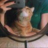 Profilbild von يارا