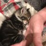 freethinker@ftkr 的头像
