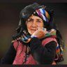 Halis Dönder's profile picture