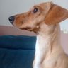 Profilbild von lulucena
