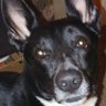 MSter-Cuda The ShellBack's profile picture