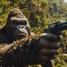 Profilbild von Ape Quimbee2