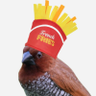 Profilbild von FinchFries