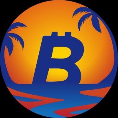 Bitcoin Bay Foundation's profile picture