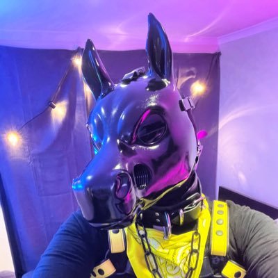 Oxie's profile picture