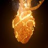 21HeartsAfire 的头像