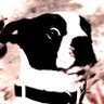 plebe's profile picture