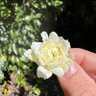 Фото профиля Irene Su