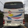 Фото профиля ちびちびイルカ
