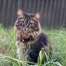 Benjamin Thomas profil fotoğrafı