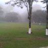 Elizabeth profil fotoğrafı