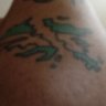Alejandro Eger's profile picture