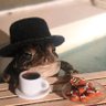 Herbert's profile picture