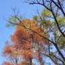 Фото профиля 南国悠聆