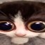 Profilbild von ?